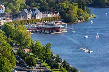 livraison de sapin allier