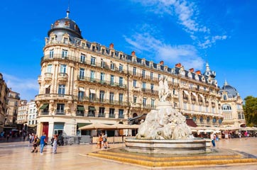 livraison de sapin Hérault Montpellier