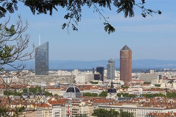 livraison de sapin Lyon