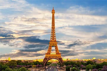 livraison de sapin à Paris