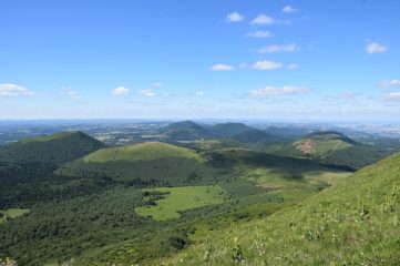 livraison de sapin Puy-de-Dôme