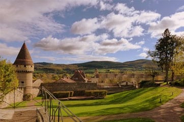 livraison de sapin Saône-et-Loire