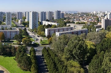 livraison de sapin Seine-Saint-Denis 93