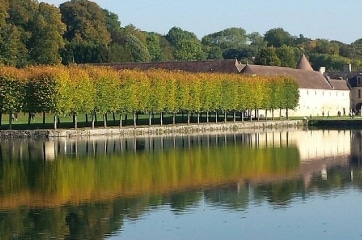 livraison de sapin Val-d'Oise 95