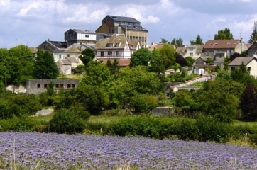 livraison de sapin Yvelines 78