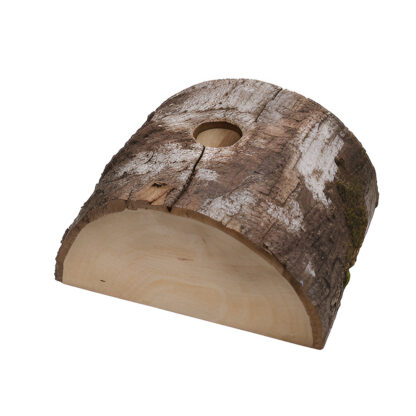Nordmann 100 cm – Image 4