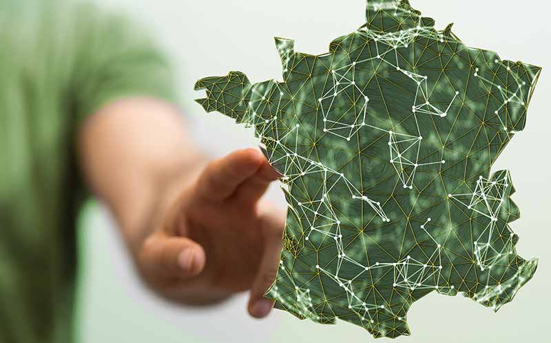 noel vert livraison pros partout en france