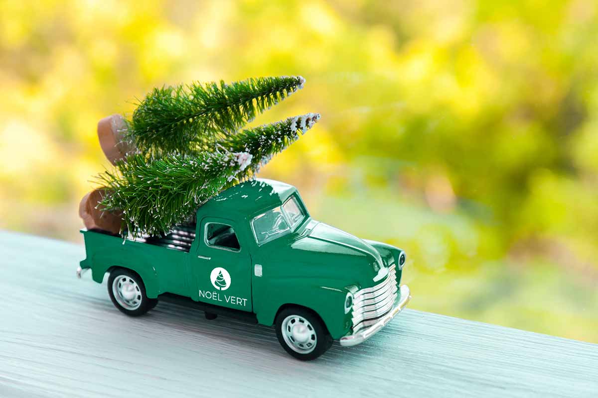 exploitation sapins naturels livrés en 24h chez vous